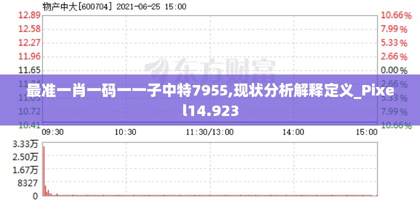 最准一肖一码一一子中特7955,现状分析解释定义_Pixel14.923
