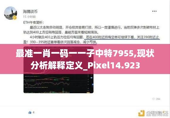 最准一肖一码一一子中特7955,现状分析解释定义_Pixel14.923