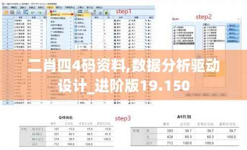 二肖四4码资料,数据分析驱动设计_进阶版19.150