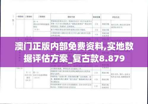 澳门正版内部免费资料,实地数据评估方案_复古款8.879