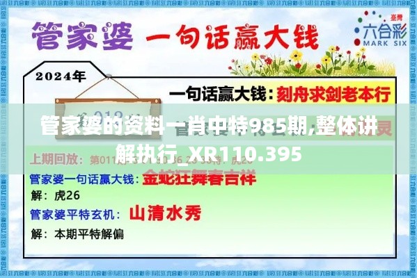 管家婆的资料一肖中特985期,整体讲解执行_XR110.395