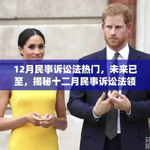 揭秘智能诉讼助手,十二月民事诉讼法领域的科技革新利器