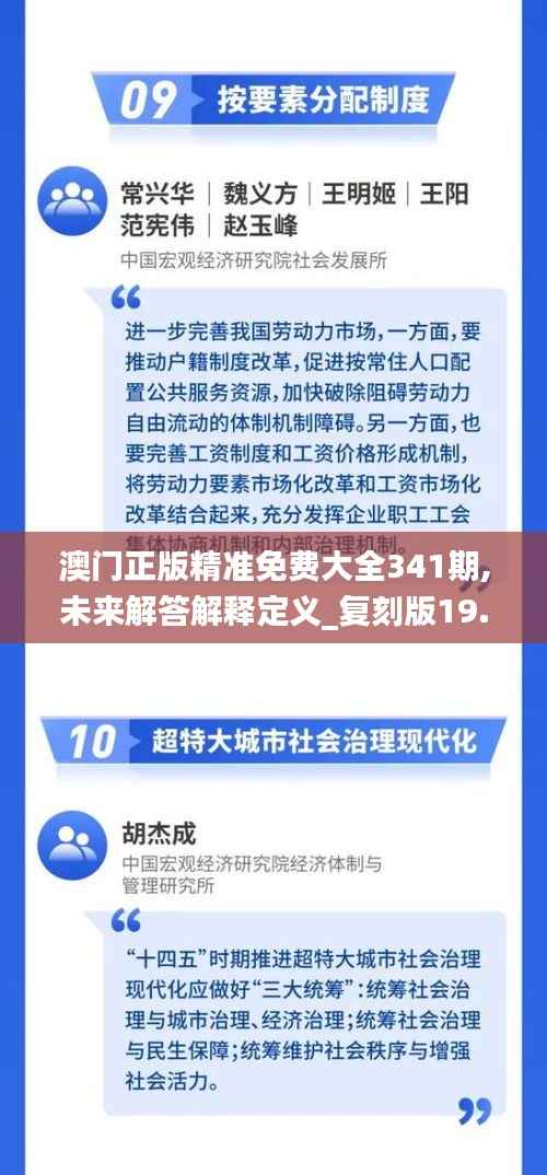 澳门正版精准免费大全341期,未来解答解释定义_复刻版19.343