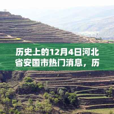 河北省安国市十二月四日的历史时刻与热门消息回顾