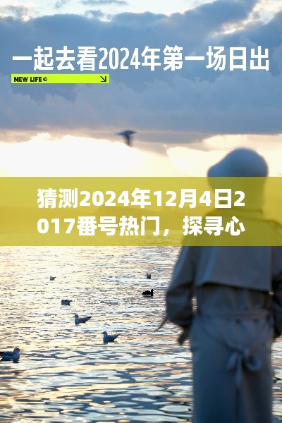 未来晴朗日启程,探寻心灵净土,揭秘自然美景的奇妙旅行——热门2017番号预测(2024年12月4日)