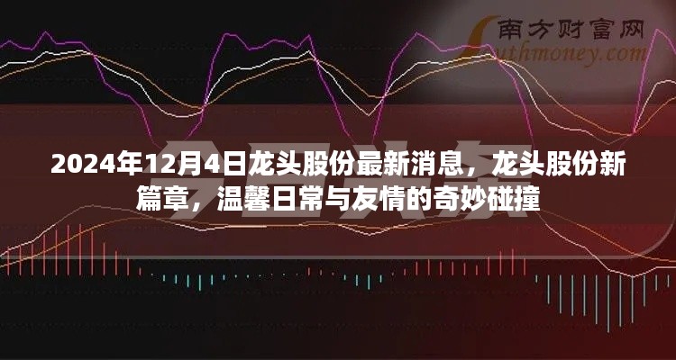 龙头股份新篇章,温馨日常与友情的奇妙碰撞(2024年12月4日最新消息)