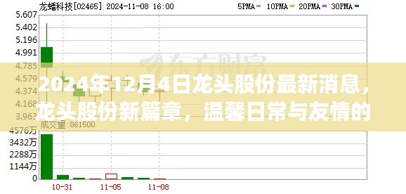 龙头股份新篇章,温馨日常与友情的奇妙碰撞(2024年12月4日最新消息)