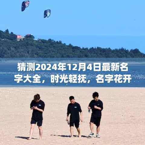 时光轻抚下的温馨命名之旅,最新名字大全揭晓,2024年12月4日的命名之旅开启