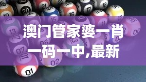 澳门管家婆一肖一码一中,最新解答解析说明_模拟版15.462