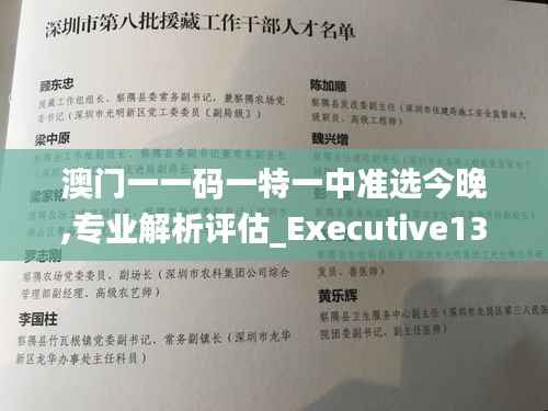 澳门一一码一特一中准选今晚,专业解析评估_Executive13.982