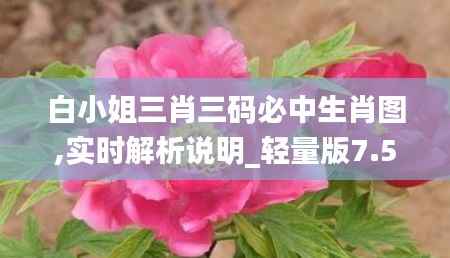白小姐三肖三码必中生肖图,实时解析说明_轻量版7.565
