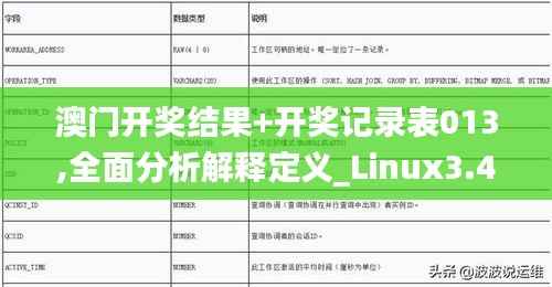 澳门开奖结果+开奖记录表013,全面分析解释定义_Linux3.454