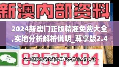 2024新澳门正版精准免费大全,实地分析解析说明_尊享版2.486