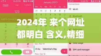 2024年 来个网址都明白 含义,精细设计计划_Tizen11.262