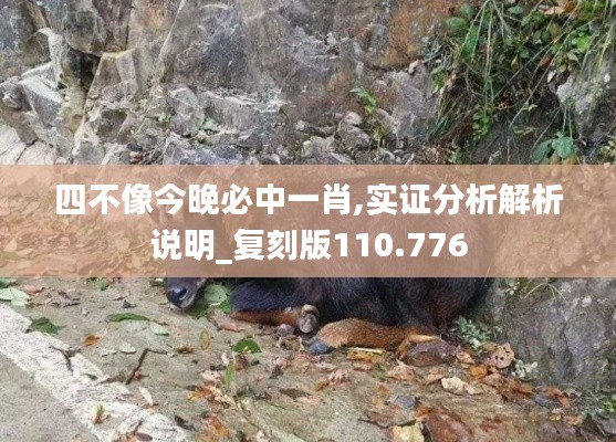 贵不可言 第4页