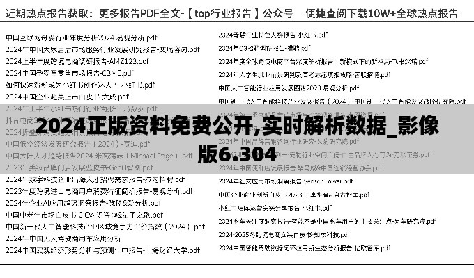 2024正版资料免费公开,实时解析数据_影像版6.304
