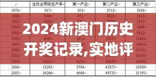 2024新澳门历史开奖记录,实地评估数据方案_钻石版16.628