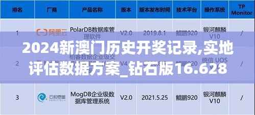 2024新澳门历史开奖记录,实地评估数据方案_钻石版16.628