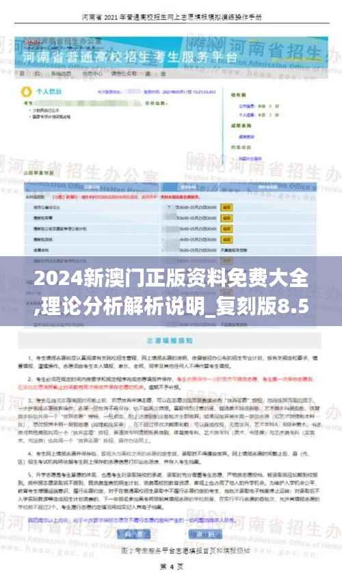 2024新澳门正版资料免费大全,理论分析解析说明_复刻版8.511