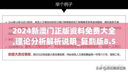 2024新澳门正版资料免费大全,理论分析解析说明_复刻版8.511