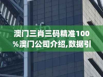 澳门三肖三码精准100%澳门公司介绍,数据引导计划设计_特别款1.221