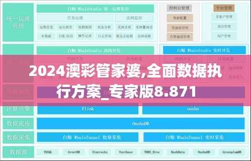 2024澳彩管家婆,全面数据执行方案_专家版8.871