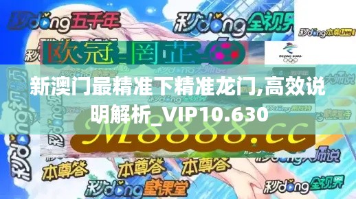 新澳门最精准下精准龙门,高效说明解析_VIP10.630