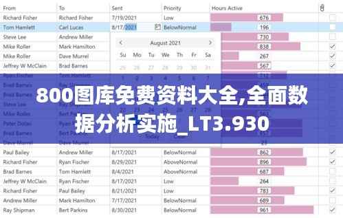 800图库免费资料大全,全面数据分析实施_LT3.930