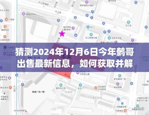 解读鹩哥最新出售信息，预测分析未来市场趋势，把握鹩哥市场动态——2024年预测报告