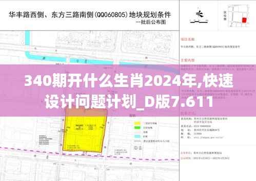 340期开什么生肖2024年,快速设计问题计划_D版7.611