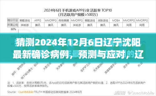 辽宁沈阳最新确诊病例预测与应对策略,初学者与进阶用户指南(预测至2024年12月)