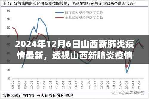 2024年12月6日山西新肺炎疫情最新进展与观点分析