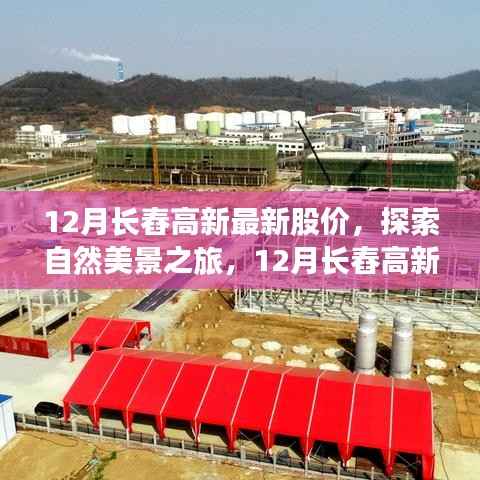 探索自然美景之旅,揭秘长舂高新股价背后的宁静力量与绿意盎然股市