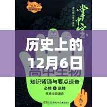 卓大王盲盒最新指南,玩转历史惊喜盒子,揭秘12月6日的惊喜盲盒开箱秘籍