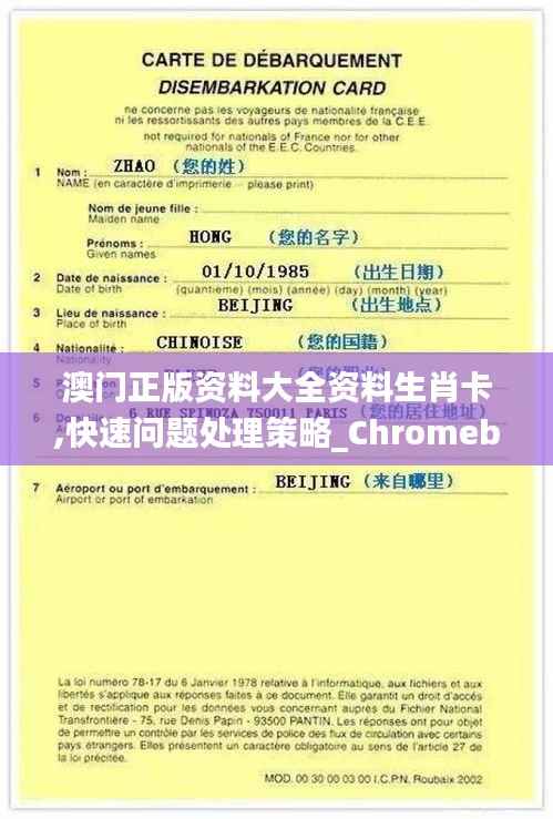 澳门正版资料大全资料生肖卡,快速问题处理策略_Chromebook10.787