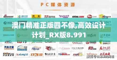 澳门精准正版四不像,高效设计计划_RX版8.991