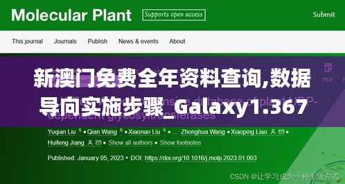 新澳门免费全年资料查询,数据导向实施步骤_Galaxy1.367