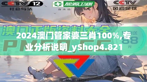 2024澳门管家婆三肖100%,专业分析说明_yShop4.821