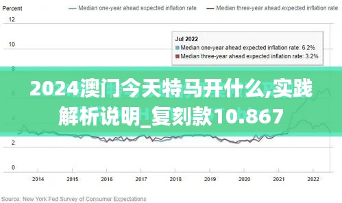 2024澳门今天特马开什么,实践解析说明_复刻款10.867