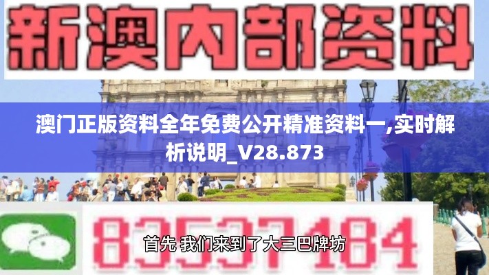 澳门正版资料全年免费公开精准资料一,实时解析说明_V28.873