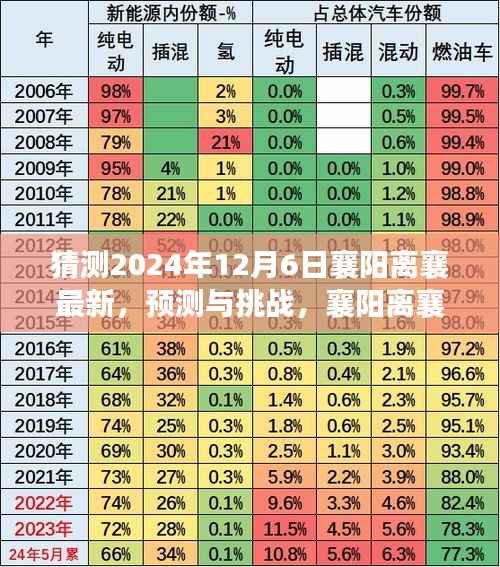 襄阳离襄最新动态展望,预测与挑战(2024年视角)