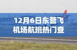 12月6日东营飞机场航班启航,探寻自然美景之旅,心灵平和宁静之旅的开始