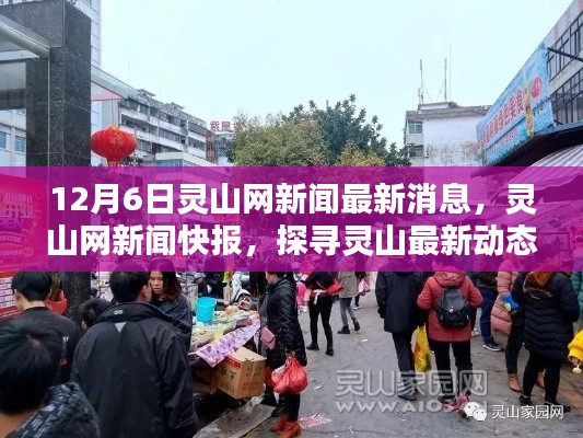 聚焦灵山最新动态,热点话题快报(12月6日版)