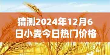 麦浪中的温情时光,一场关于小麦价格热门趋势的奇妙猜想之旅