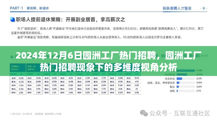园洲工厂热门招聘现象,多维度视角下的深度解析与探讨(2024年)