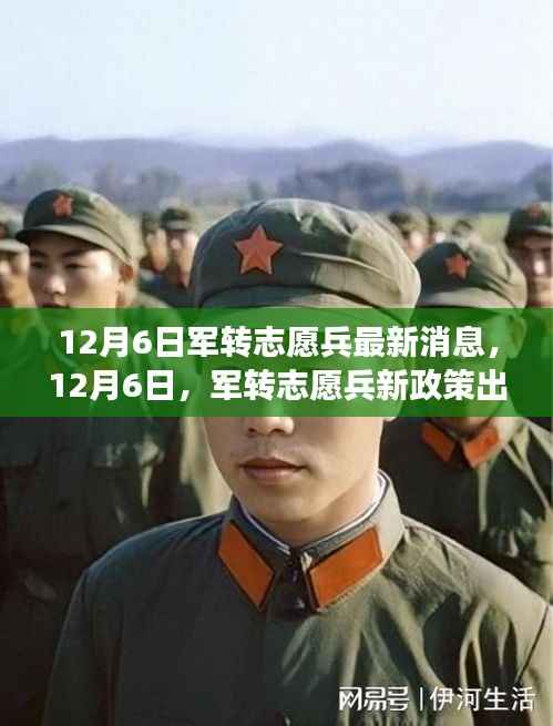 军转志愿兵新政策出炉,共同迈向新征程的逆风翱翔