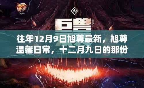 旭尊温馨日常,十二月九日特别回忆与友情魔法的绽放