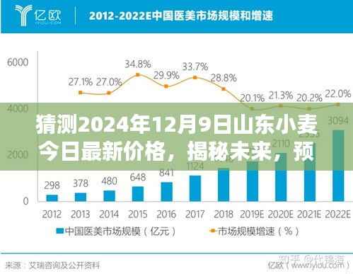 揭秘未来,预测山东小麦在2024年12月9日的最新价格走向及市场动态分析。