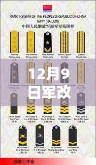 笨鸟先飞 第4页