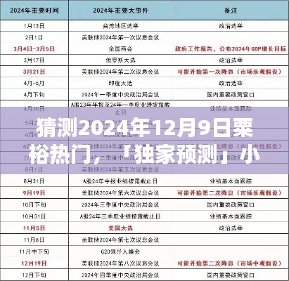 独家预测,粟裕大将影响力揭秘,小红书热议掀起新热潮——2024年12月9日展望